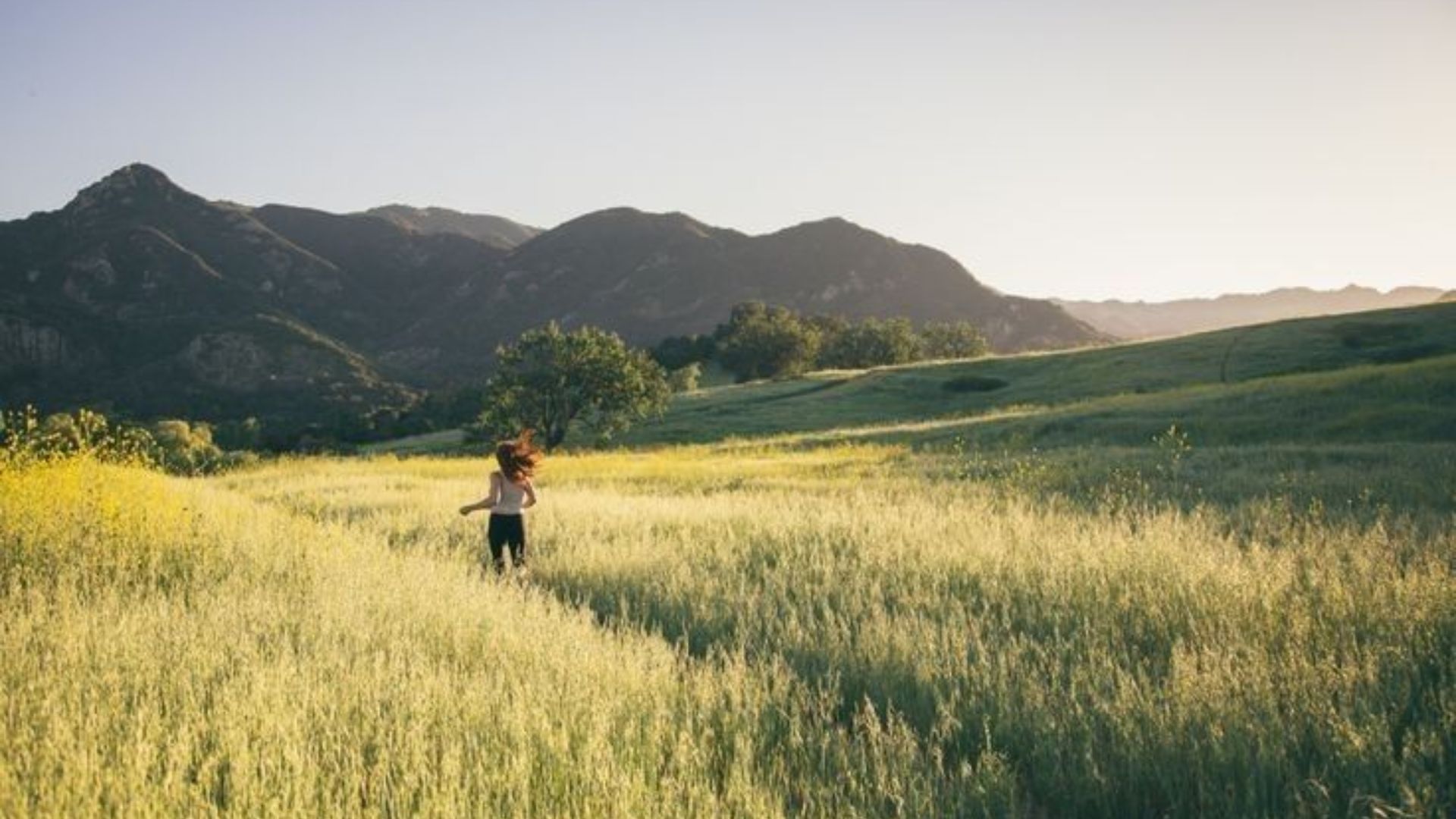 Eco Friendly Packaging
